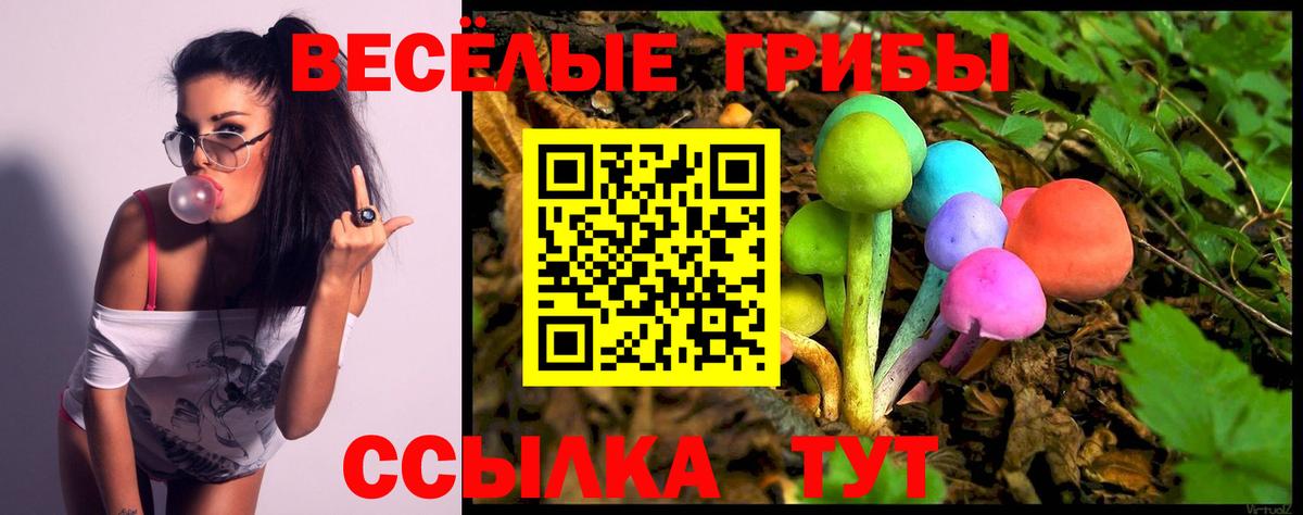 Галлюциногенные грибы Psilocybine cubensis Смоленск